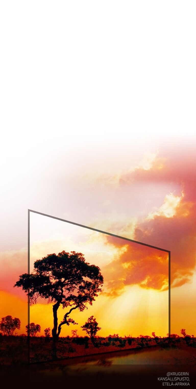 Active HDR Dolby Vision kaikille HDR-formaateille2