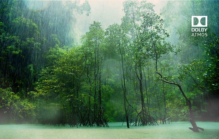 Dolby Atmos®<br>Elokuvaääni kotona<br>2