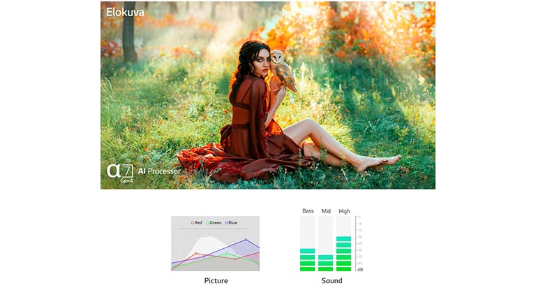 Kaksi kohtausta, jotka on optimoitu automaattisesti kuvan ja äänen suhteen a9 Gen4 -tekoälyprosessorilla (toista video)