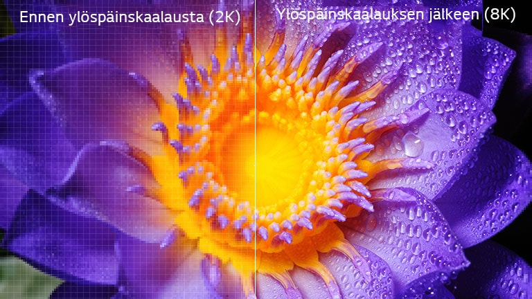 Kuva kukasta alkuperäisessä 2K-tarkkuudessa vasemmalla ja ylöspäinskaalattuna 8K-tarkkuuteen oikealla.