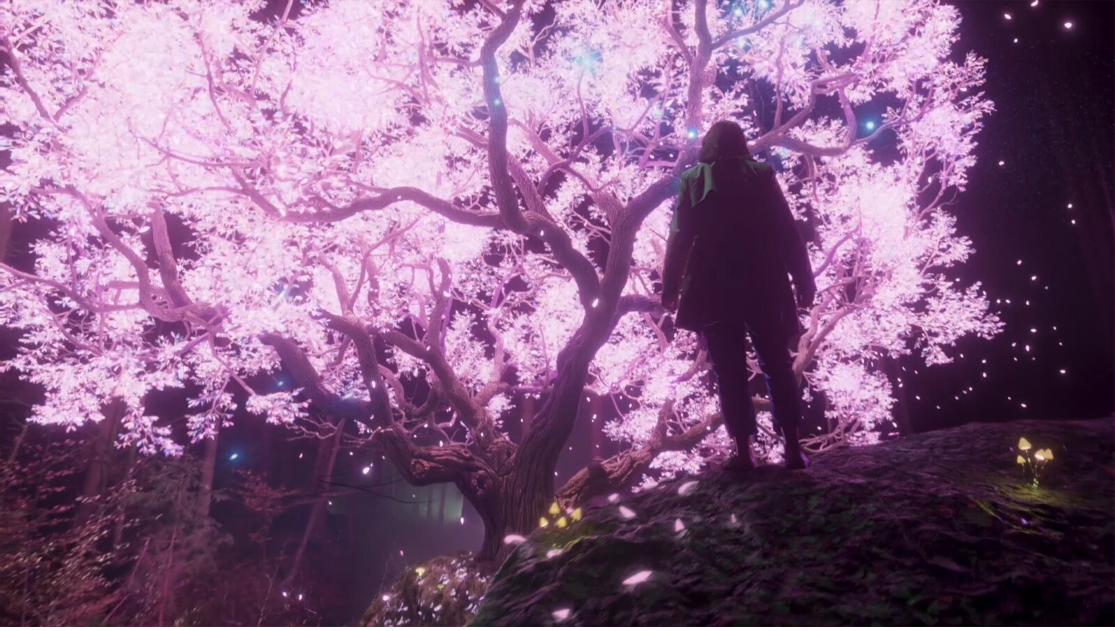 TV-näyttö, jossa värikkäät säteet purkautuvat ulos säihkyvästä puusta (toista video)