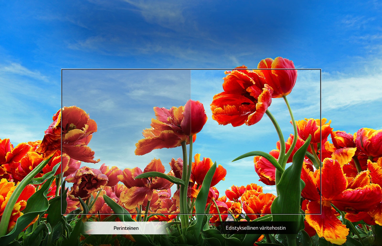 Televisiosi on mediasoitin<br>1