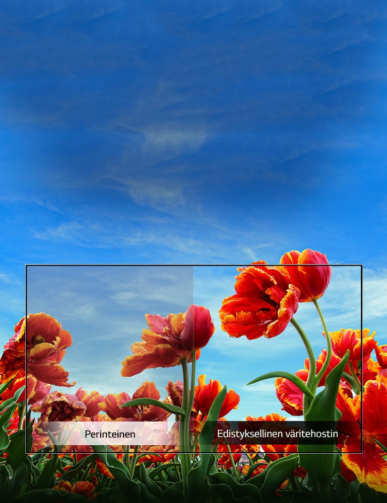 Televisiosi on mediasoitin<br>2