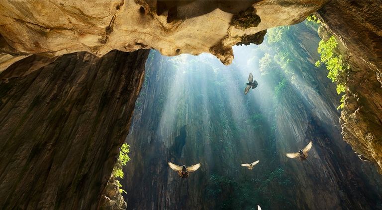 Aina optimaalinen HDR-elämys alustasta riippumatta2