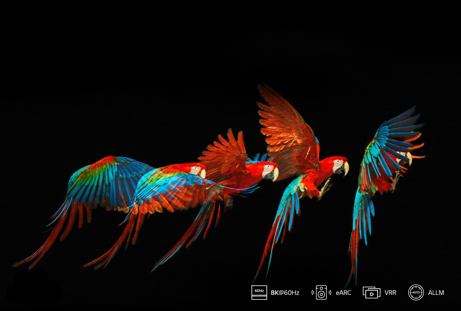 HDMI 2.1* Edellytys 8K:lle1