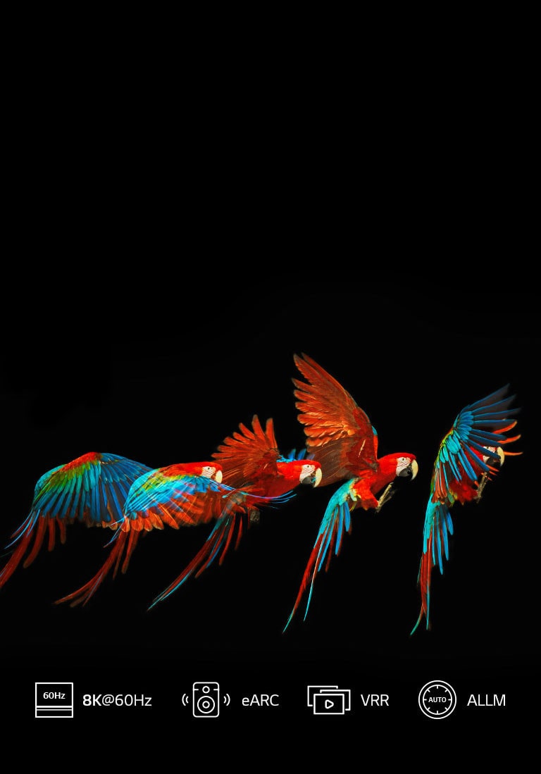 HDMI 2.1* Edellytys 8K:lle2