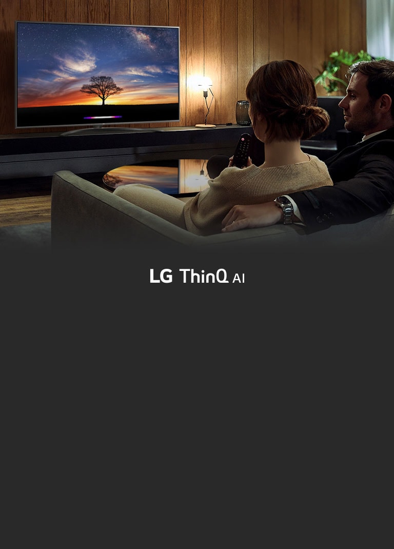 Ohjaa televisiotasi puheella<br>2