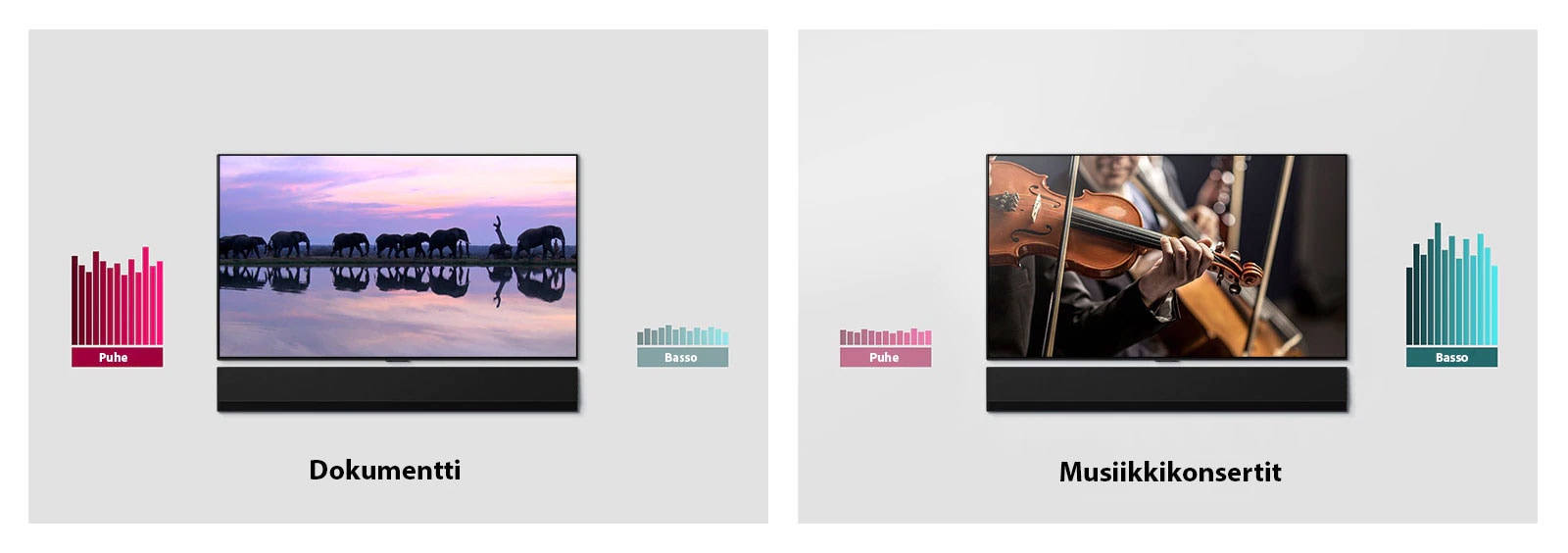 Kaksi vierekkäistä kuvaa seinään kiinnitetyistä TV:istä ja soundbar-kaiuttimista. Toisessa TV:ssä näkyy norsuja ja toisessa orkesteri. TV:iden vieressä on kaksi kaaviota.