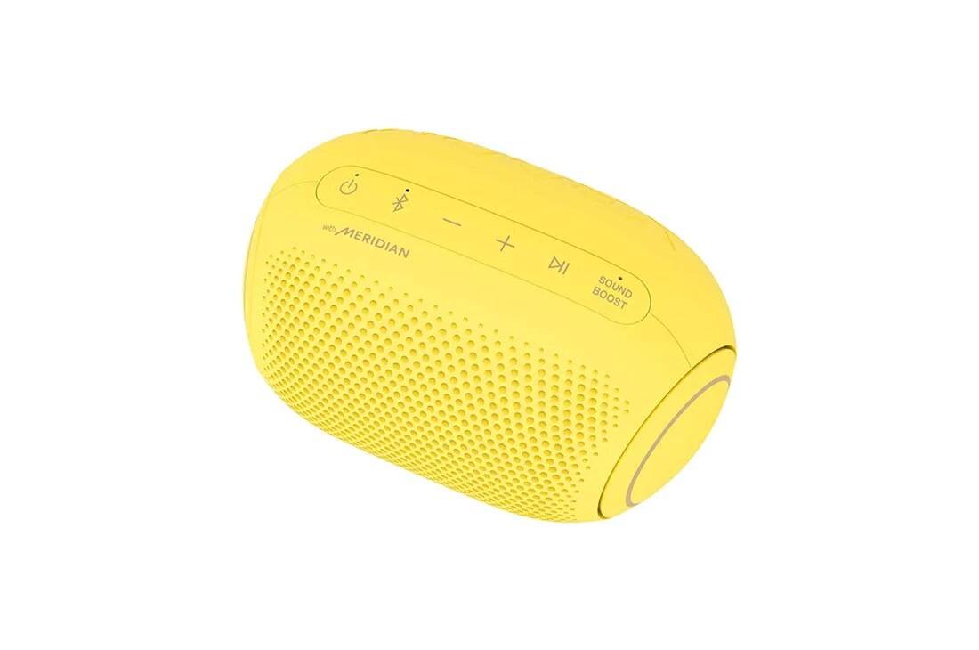 LG XBOOM Go PL2S, LG XBOOMGo PL2S, 30 degrees to the right top-down view of LG XBOOM Go., PL2S, PL2S, thumbnail 9