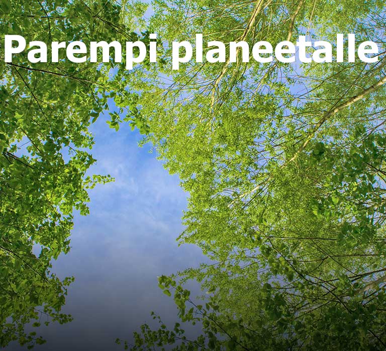 Vihreä kuva täynnä runsaita lehtipuita, joiden välistä näkyy taivasta