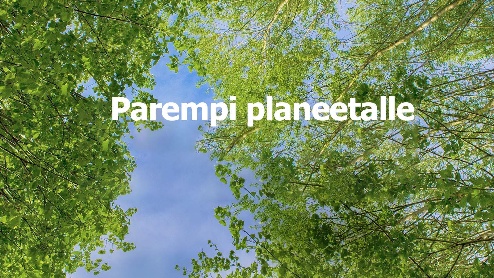 Vihreä kuva täynnä runsaita lehtipuita, joiden välistä näkyy taivasta