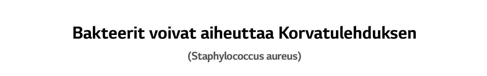  Bakteerit voivat aiheuttaa Korvatulehduksen (Staphylococcus aureus)
