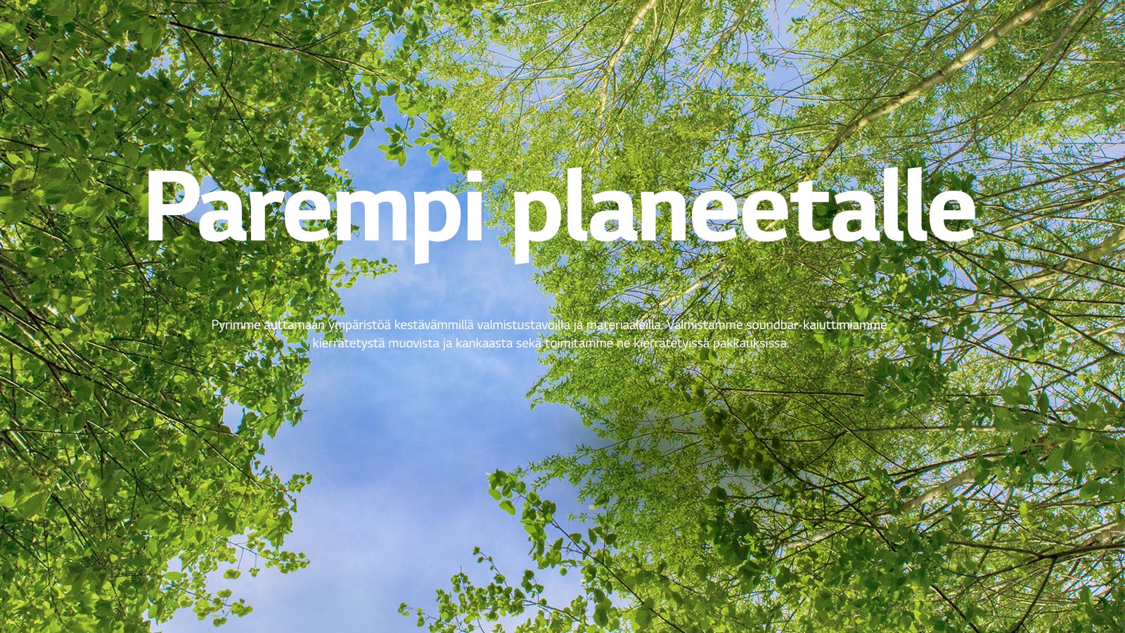 Vihreä kuva täynnä runsaita lehtipuita, joiden välistä näkyy taivasta