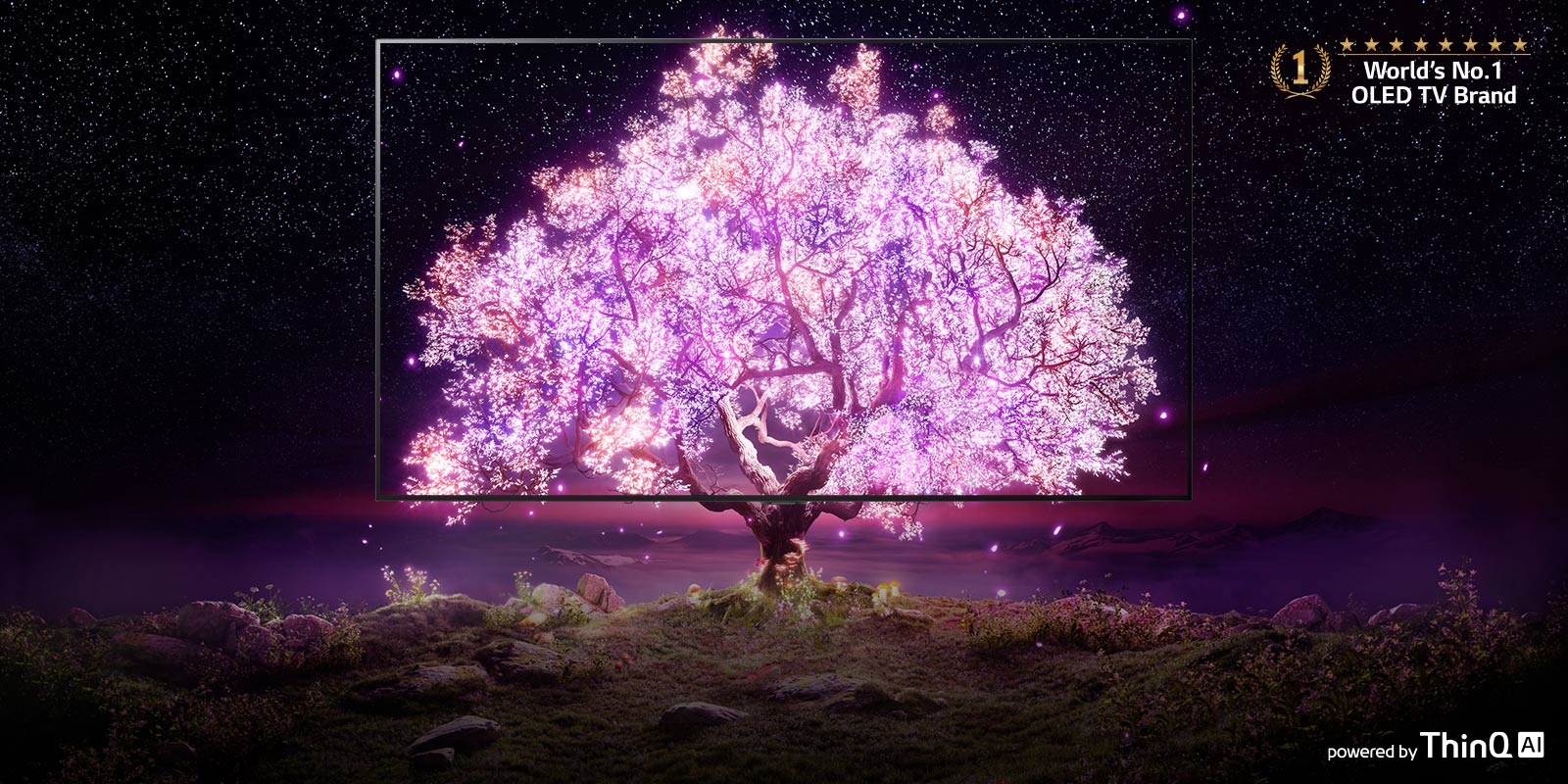 TV-OLED-SELF-LIT-Banner-Desktop