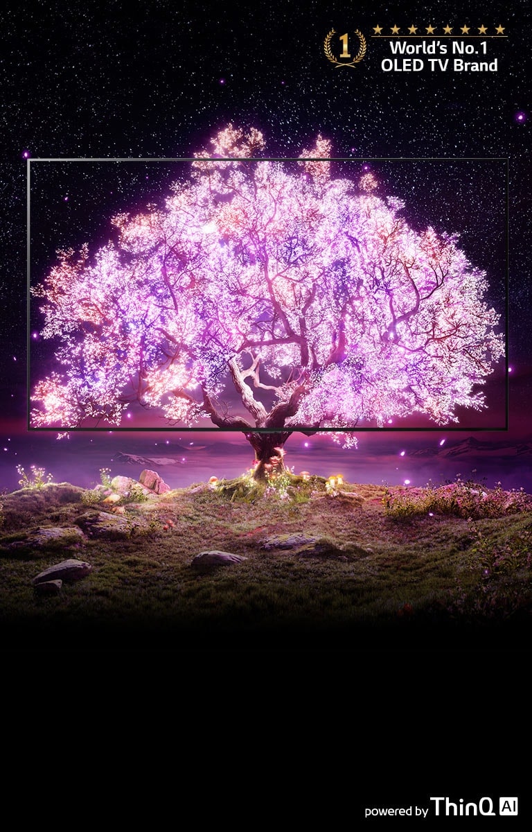 TV-OLED-SELF-LIT-Banner-Desktop