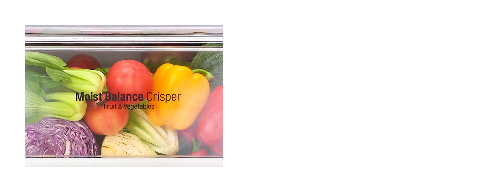 Moist Balance Crisper™1