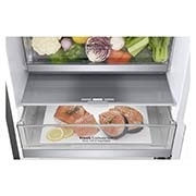 LG 1.86M 341L Jääkaappipakastimet(Shiny Steel) - Energialuokka E, Door Cooling™, Multi Flow, GBB71PZDZN, thumbnail 5