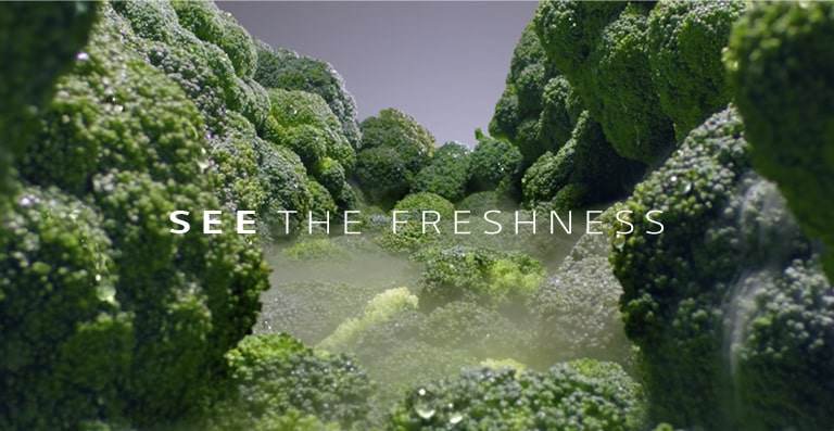 REF-P-Veyron6-Refresh-DID-NobleSteel-Non-Plumbing-07-2-LINEAR-M