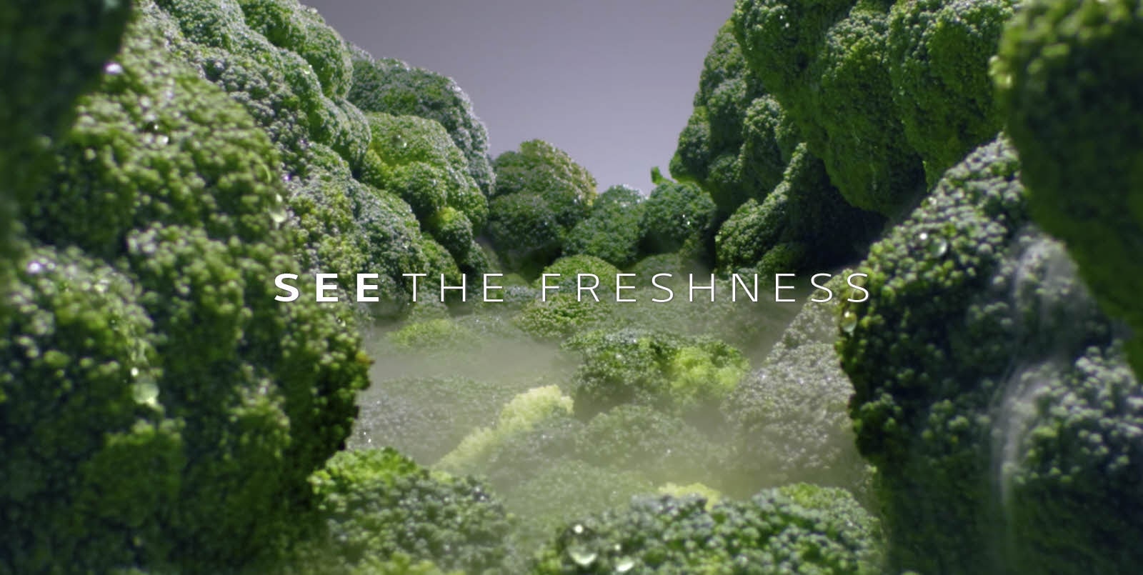 P-Veyron6-Refresh-InstaView-MatteBlackST-Nplumbing-08-2-LINEAR-D