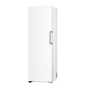 LG 324L Vapaasti seisova pakastin (Valkoinen) - Energialuokka E, Total No Frost, Express Freeze, Oikea sivunäkymä, GFT41SWGSZ, thumbnail 10