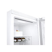 LG 386L Vapaasti seisova jääkaappi (Valkoinen) - Energialuokka E, DoorCooling™, LINEARCooling™, Moist Balance Crisper™, Smart Diagnosis™ - Wi-Fi-yhteys, GLE51SWGSZ, GLE51SWGSZ, thumbnail 11