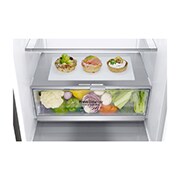 LG 1.86M 341L Jääkaappipakastimet(Shiny Steel) - Energialuokka D, Door Cooling™, GBB71PZEGN, GBB71PZEGN, thumbnail 4