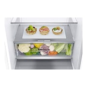 LG 2.03M 384L Jääkaappipakastimet(Valkoinen) - Energialuokka D, Door Cooling™, GBB72SWEGN, GBB72SWEGN, thumbnail 4