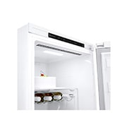 LG 386L Vapaasti seisova jääkaappi (Valkoinen) - Energialuokka D, Door Cooling™, LINEARCooling™, Moist Balance Crisper™, Sisäpuolen yksityiskohdat, GLT51SWGSF, thumbnail 7
