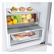 LG 1.86M 344L Jääkaappipakastimet (Valkoinen) - Energialuokka D, Nature Fresh, Door Cooling+™ ja Smart Diagnosis™, 1.86M 344L Jääkaappipakastimet (Valkoinen) - Energialuokka D, Nature Fresh, Door Cooling+™ ja Smart Diagnosis™, GBV21NCDSW, thumbnail 5