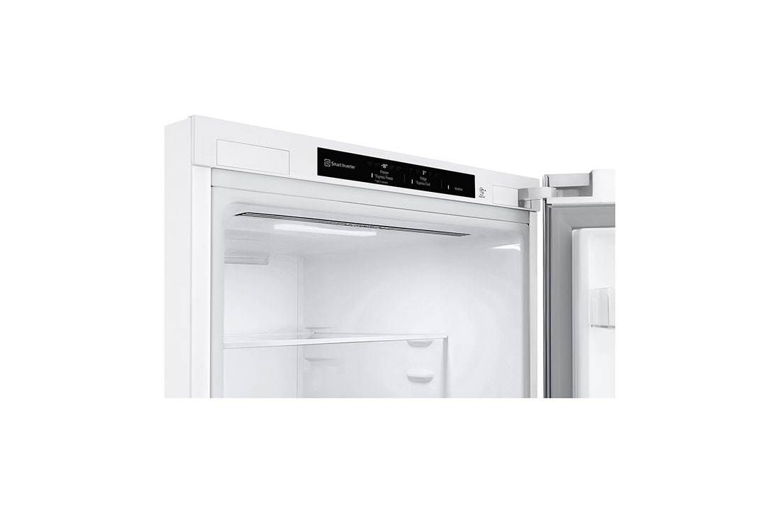 LG 2.03M 387L Jääkaappipakastimet (Valkoinen) - Energialuokka E, Nature Fresh, Door Cooling+™ ja Smart Diagnosis™, 2.03M 387L Jääkaappipakastimet (Prime Silver) - Energialuokka E, Nature Fresh, Door Cooling+™ ja Smart Diagnosis™, GBV22L0ESW, thumbnail 8