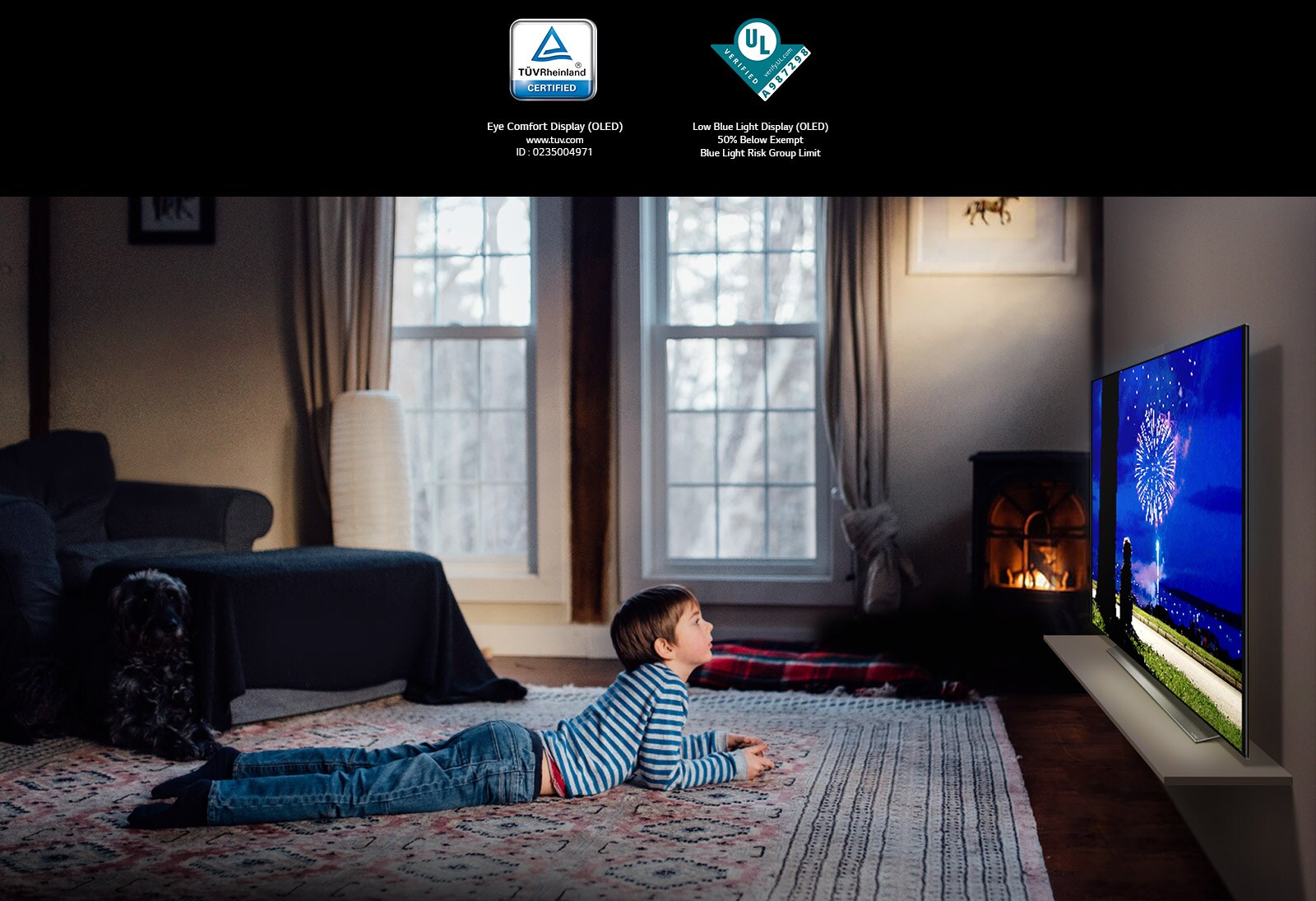 Boy lying on his stomach on the rug watching TV with his dog with his dog