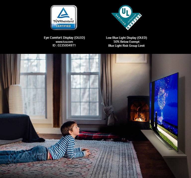 Boy lying on his stomach on the rug watching TV with his dog with his dog