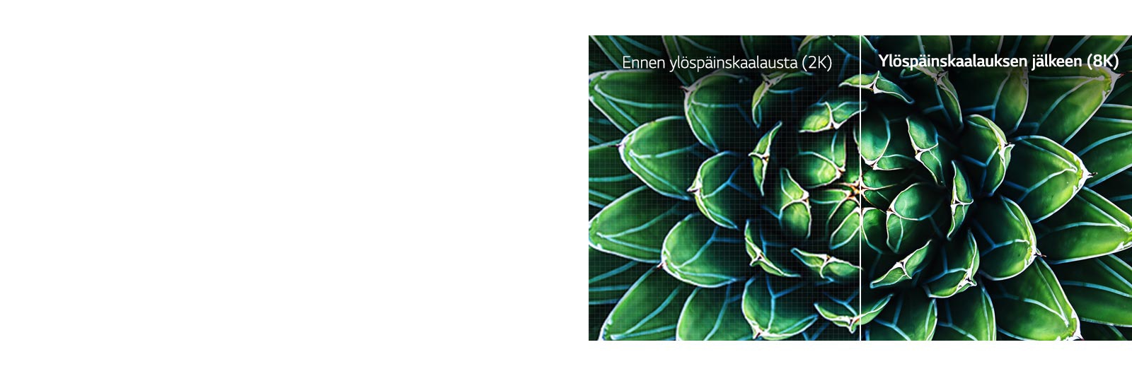 Ennen ja jälkeen -vertailu 8K-skaalauksen vaikutuksesta. Ennen-kuva on sumea.