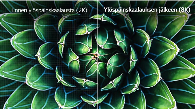 Ennen ja jälkeen -vertailu 8K-skaalauksen vaikutuksesta. Ennen-kuva on sumea.