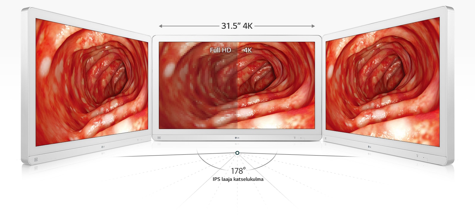 31,5"" 4K : Full HD 4K, IPS laaja katselukulma: 178 °