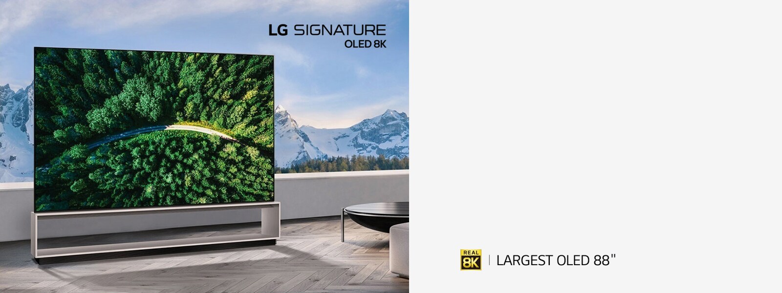 TV-SIGNATURE-OLED-Z9-Banner-D