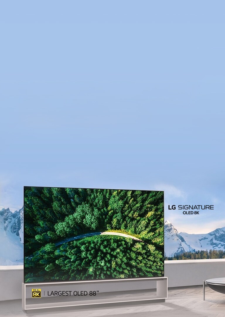 TV-SIGNATURE-OLED-Z9-Banner-M