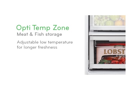 Opti Temp Zone1