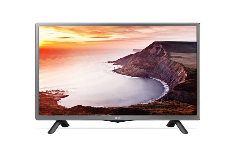 LG TV, 22LF491U