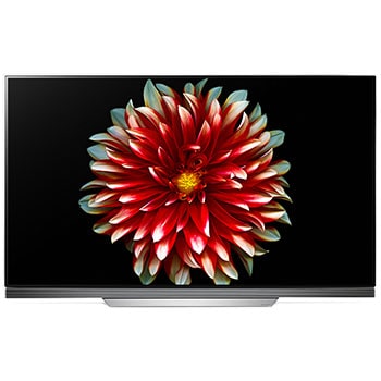LG OLED TV - E7V 65"1