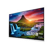 LG OLED 4K TV - 55'', OLED55E9PLA, thumbnail 2