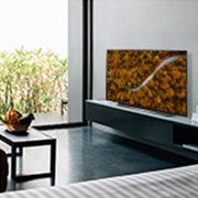 LG 77'' LG OLED 4K TV - CX, Living room with a sofa and a TV showing an aerial view of nature, OLED77CX6LA, thumbnail 12