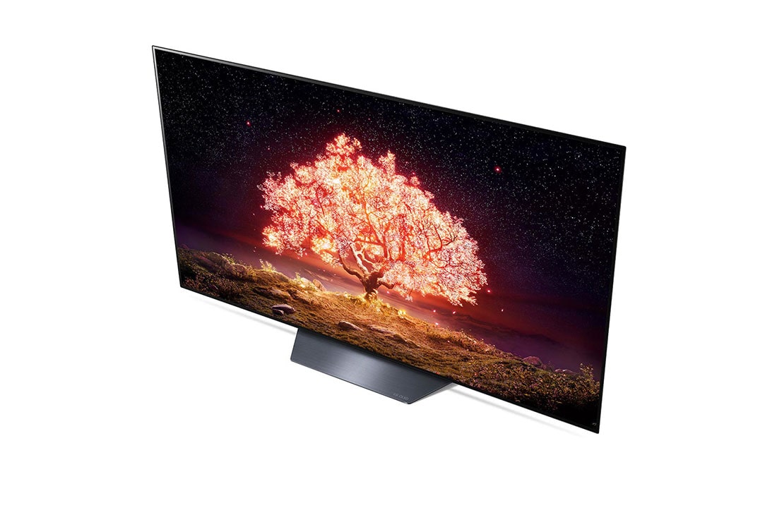 LG B1 65 inch 4K Smart OLED TV, close-up view of miniwash door, OLED65B16LA, thumbnail 8