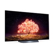 LG B1 55 inch 4K Smart OLED TV, interior view, OLED55B16LA, thumbnail 6