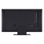 LG 50'' QNED 81 - 4K TV (2023), 50QNED816RE, 50QNED816RE, thumbnail 5