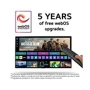 LG 55'' QNED AI 85 - 4K Smart TV (2024), 5 vuotta ilmaisia webOS-päivityksiä, joissa on webOS:n uusi ohjelmalogo, webOS-käyttöliittymän kuva ja vastuuvapauslausekkeet., 55QNED85T6C, thumbnail 4