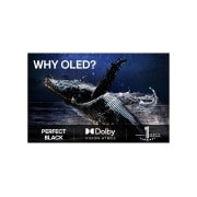 LG 55'' OLED evo AI C5 4K Smart TV 2025, OLED55C54LA, thumbnail 9