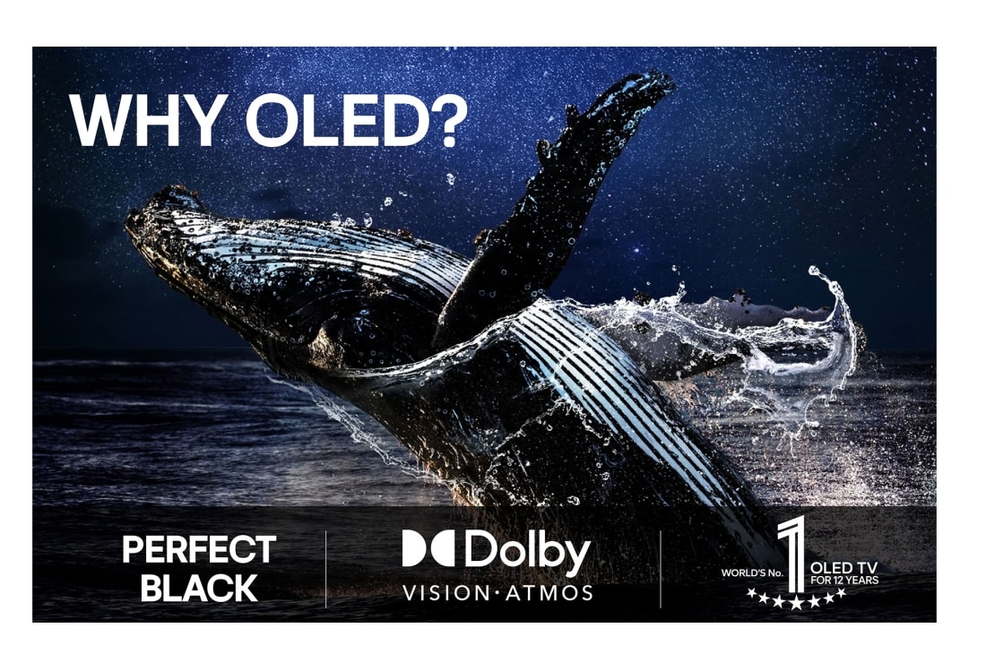 LG 77'' OLED evo AI C5 Pro 4K Smart TV 2025, lifestyle, OLED77C5ELB, thumbnail 8