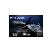 LG 42'' OLED evo AI C5 4K Smart TV 2025, OLED42C54LA, thumbnail 9