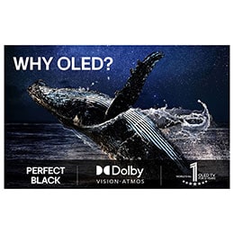 LG 65'' OLED evo AI C5 Pro 4K Smart TV 2025, Värikäs papukaija erittäin teräväpiirtoisena mustaa taustaa vasten. Sen ympärille on pysäytetty ilmaan vesipisaroita. Kuva esittelee Perfect Color -ominaisuutta, ja jokainen papukaijan kehon sävy on k, OLED65C5ELB, thumbnail 8